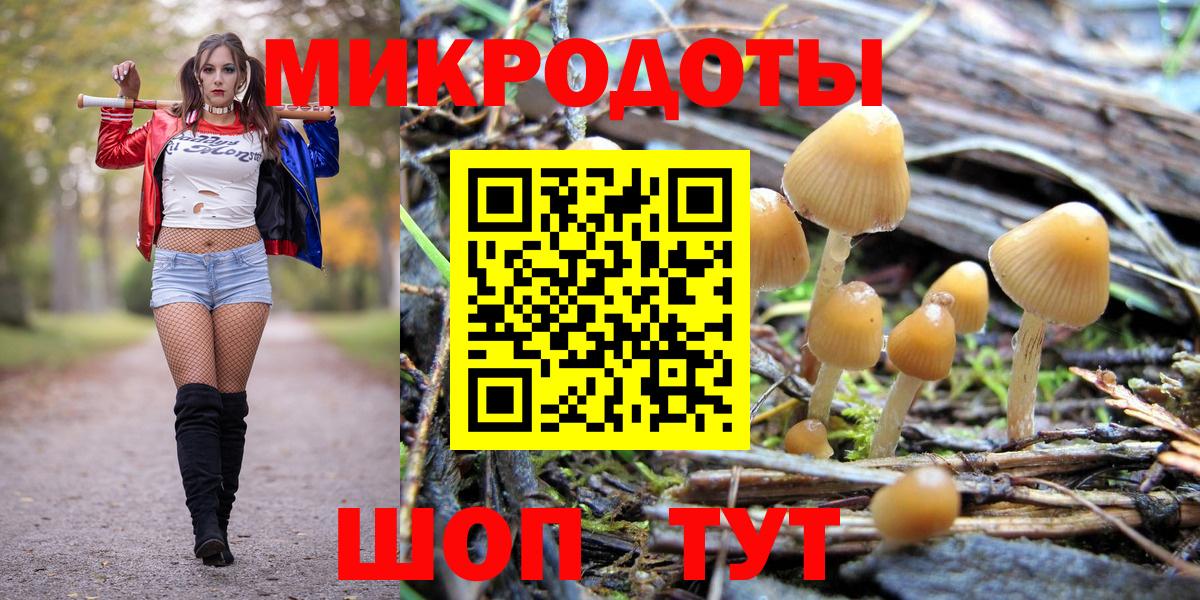Псилоцибиновые грибы Psilocybine cubensis Элиста