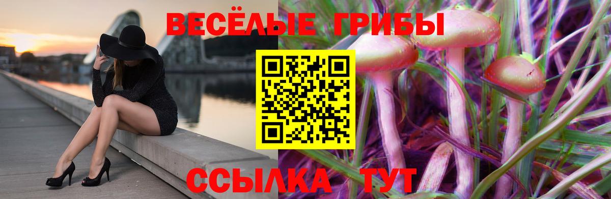 Элиста  Галлюциногенные грибы мухоморы  Вход с VPN  продажа наркотиков  Псилоцибиновые грибы мухоморы 